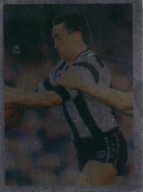 1991 Select AFL Stickers #9 Tony Shaw Front